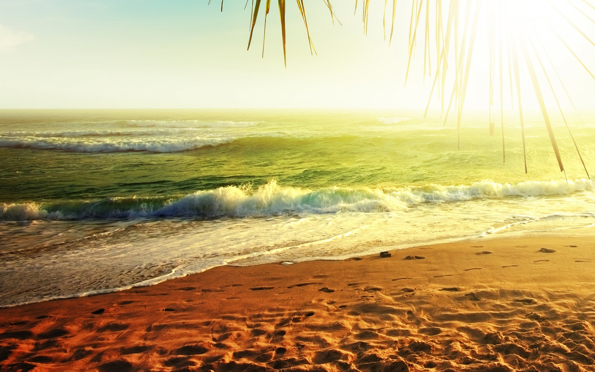 HD desktop wallpaper showcasing a serene beach scene with golden sand, gentle waves, and sunlight filtering through palm leaves at sunrise or sunset.