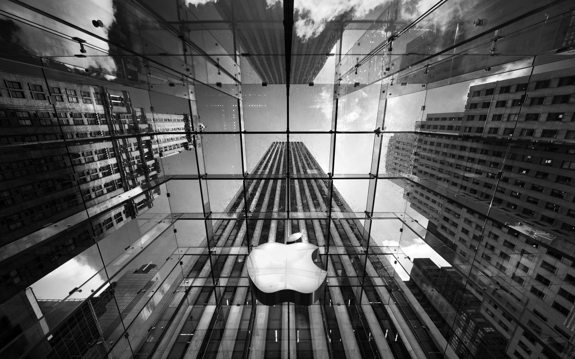 Download Man Made Apple Store HD Wallpaper