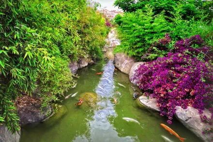 A serene garden scene featuring a winding pond filled with koi fish, surrounded by vibrant greenery and colorful flowers. This image serves as a stunning HD wallpaper for desktops.