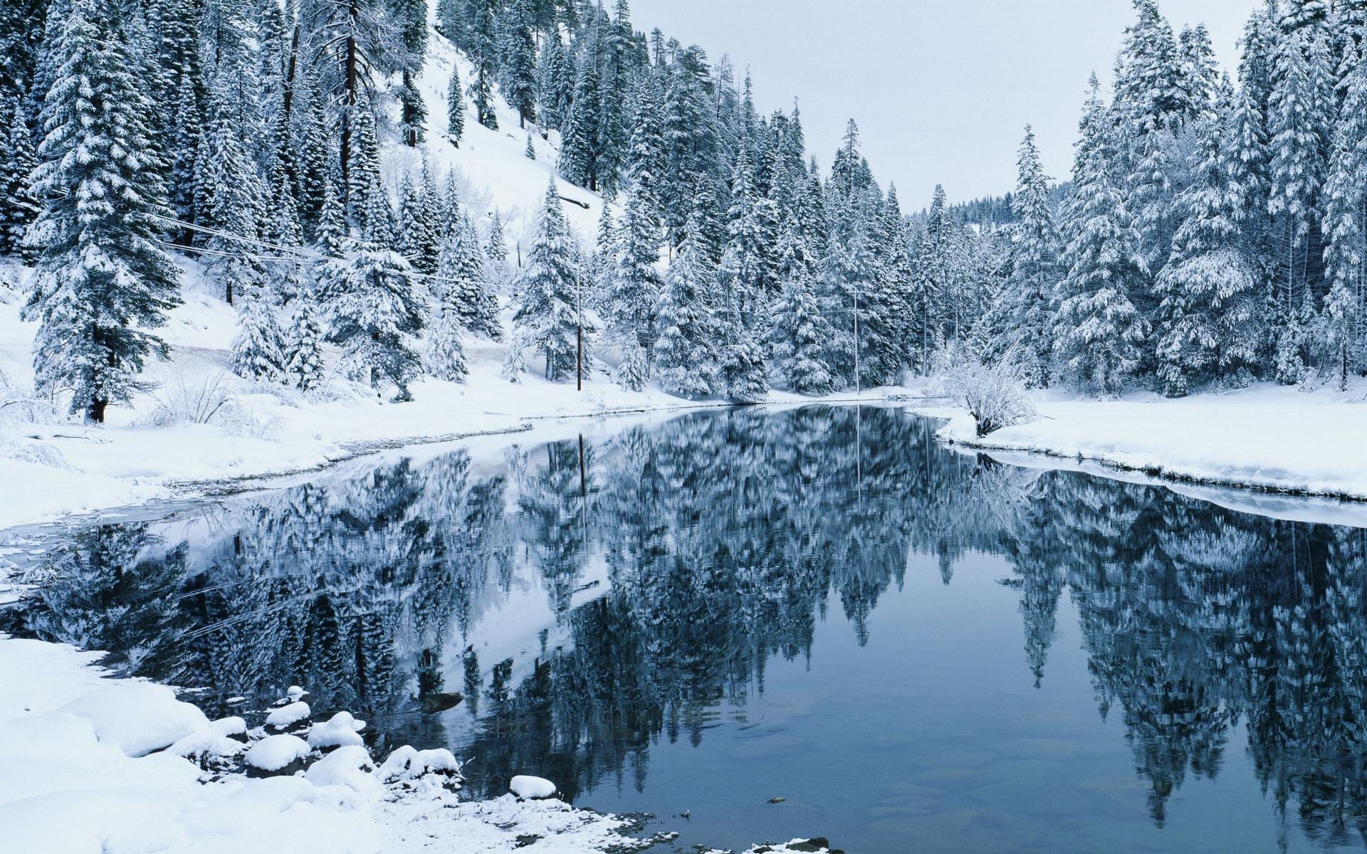 Download Nature Winter HD Wallpaper