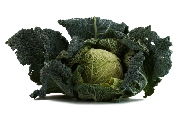 HD PC desktop wallpaper featuring a fresh green cabbage with textured dark outer leaves against a white background, highlighting food and natural produce.