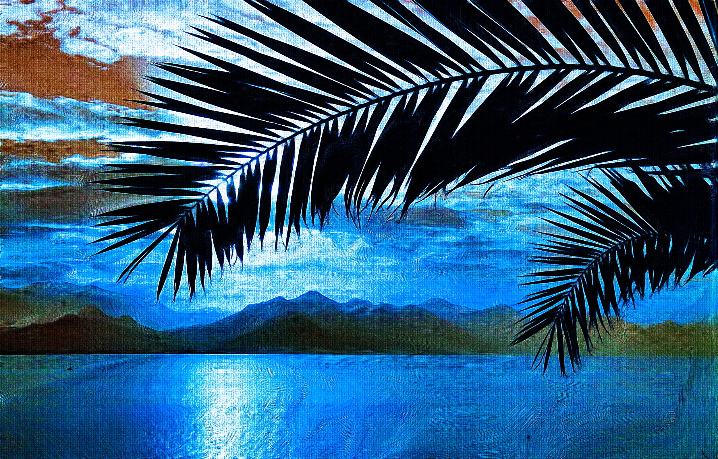 Palm Tree HD Wallpaper