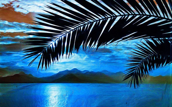 nature palm tree HD Desktop Wallpaper | Background Image