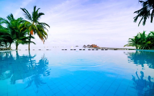 HD PC desktop wallpaper of a man-made pool surrounded by palm trees, with a clear sky and a distant pier over calm ocean waters.