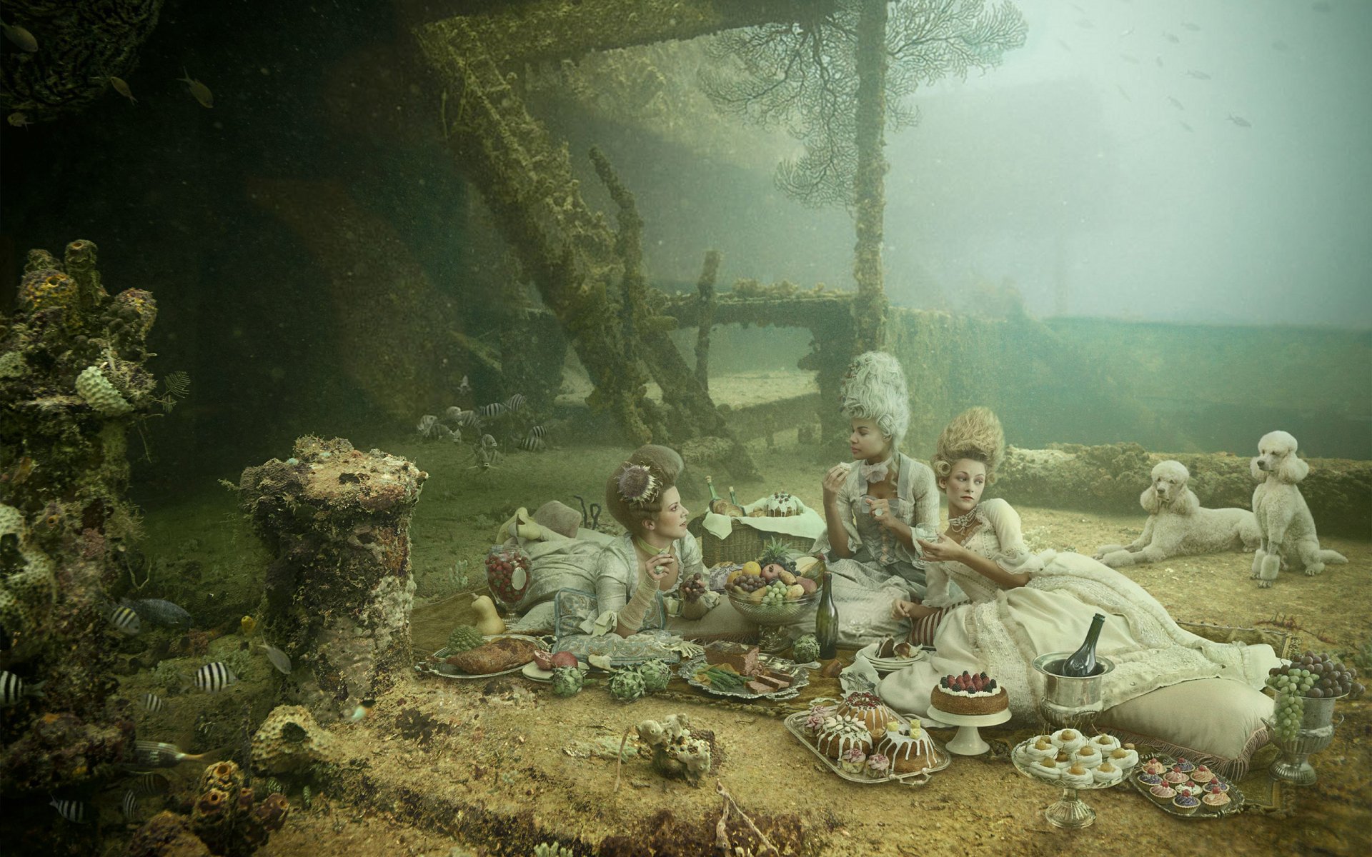 Download Photography Picnic HD Wallpaper by Andreas Franke