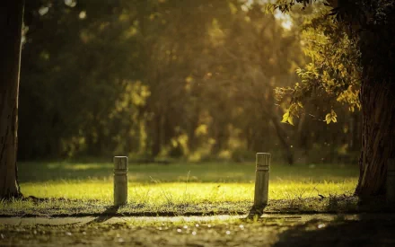 A serene park scene captures sunlight filtering through trees, highlighting green grass and wooden posts, creating a peaceful atmosphere for an HD desktop wallpaper.