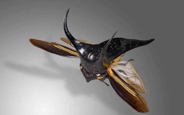 Animal insect HD Desktop Wallpaper | Background Image