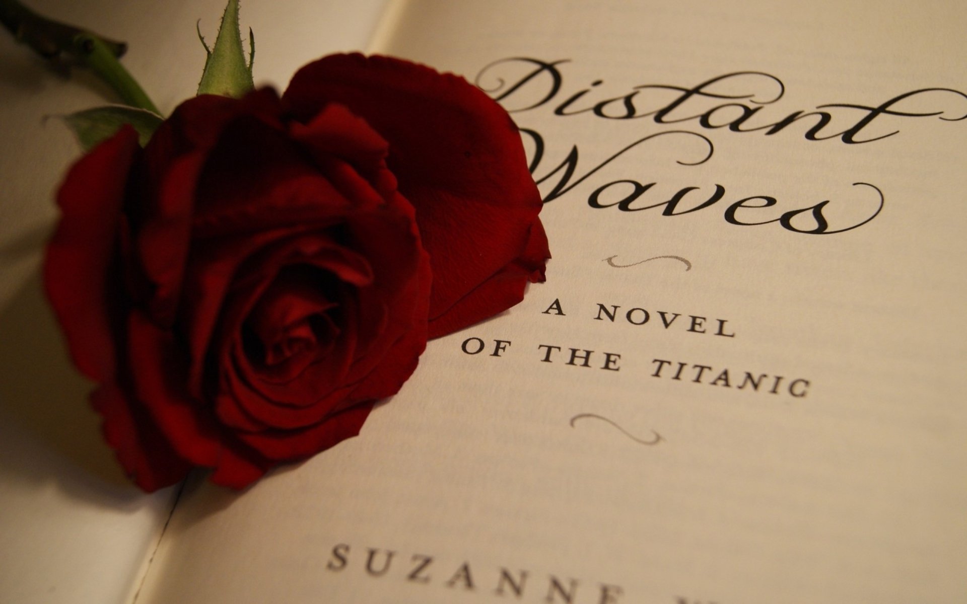 A close-up of the book Distant Waves by Suzanne Weyn, featuring a red rose resting on the pages, creating a serene and literary-themed HD desktop wallpaper.
