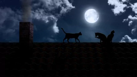 A serene night sky features a bright moon illuminating two cats on a rooftop, surrounded by soft clouds, creating a tranquil and atmospheric scene.
