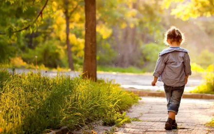An HD desktop wallpaper of a child walking down a sunlit path in a lush, green park, surrounded by trees and greenery.