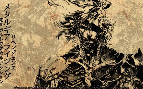 Raiden (Metal Gear) video game Metal Gear Rising: Revengeance HD Desktop Wallpaper | Background Image