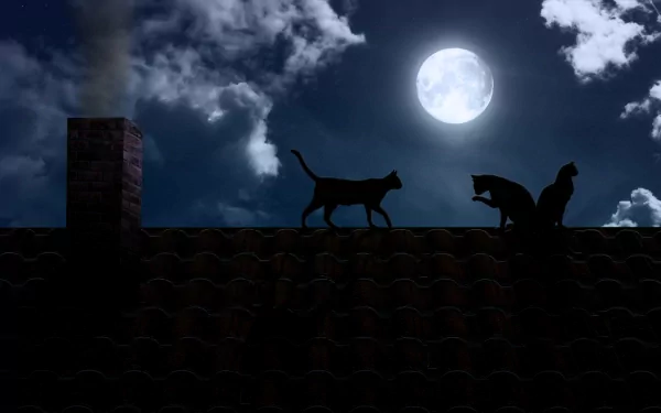 A serene night sky features a bright moon illuminating two cats on a rooftop, surrounded by soft clouds, creating a tranquil and atmospheric scene.