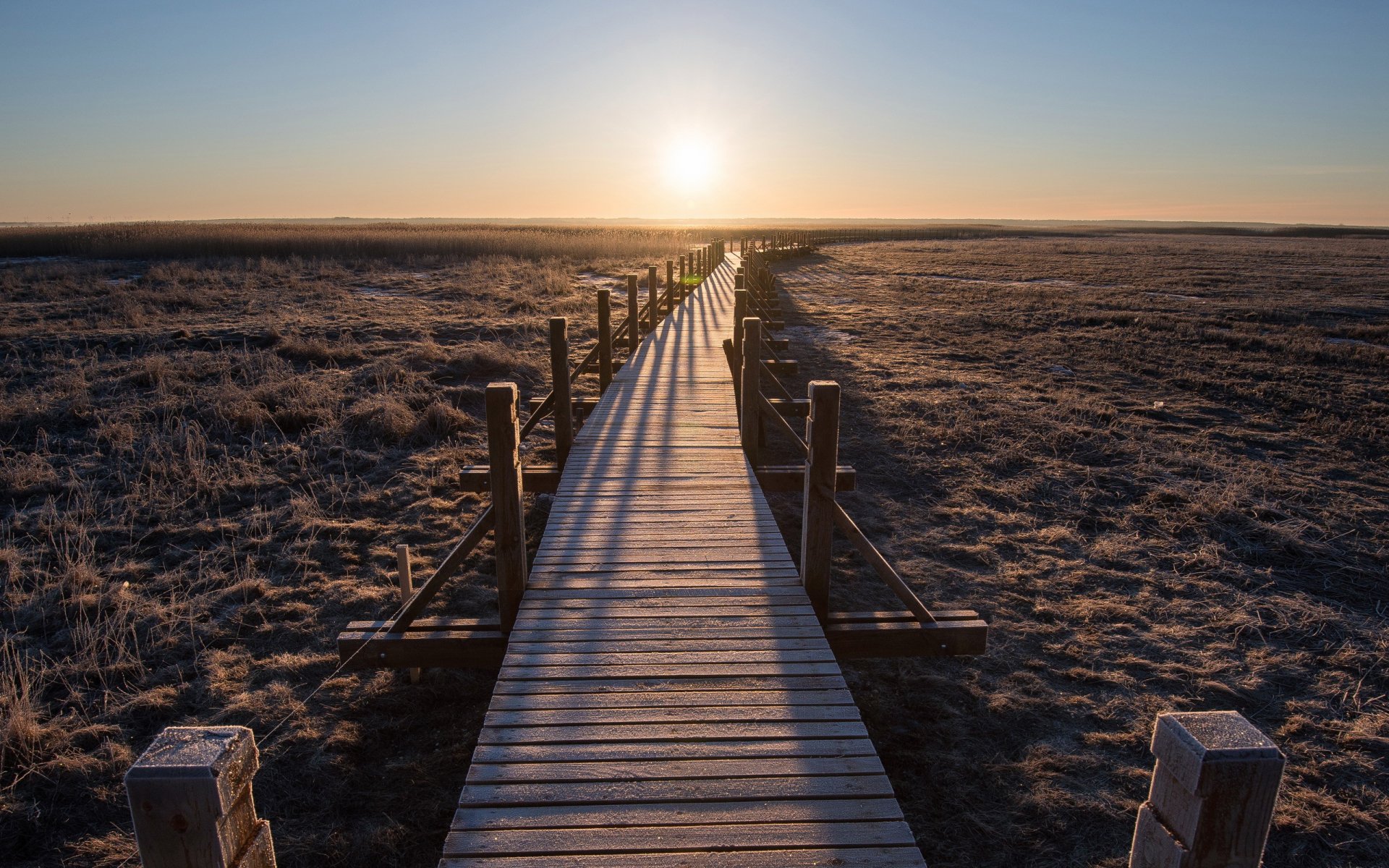 Download Man Made Boardwalk HD Wallpaper