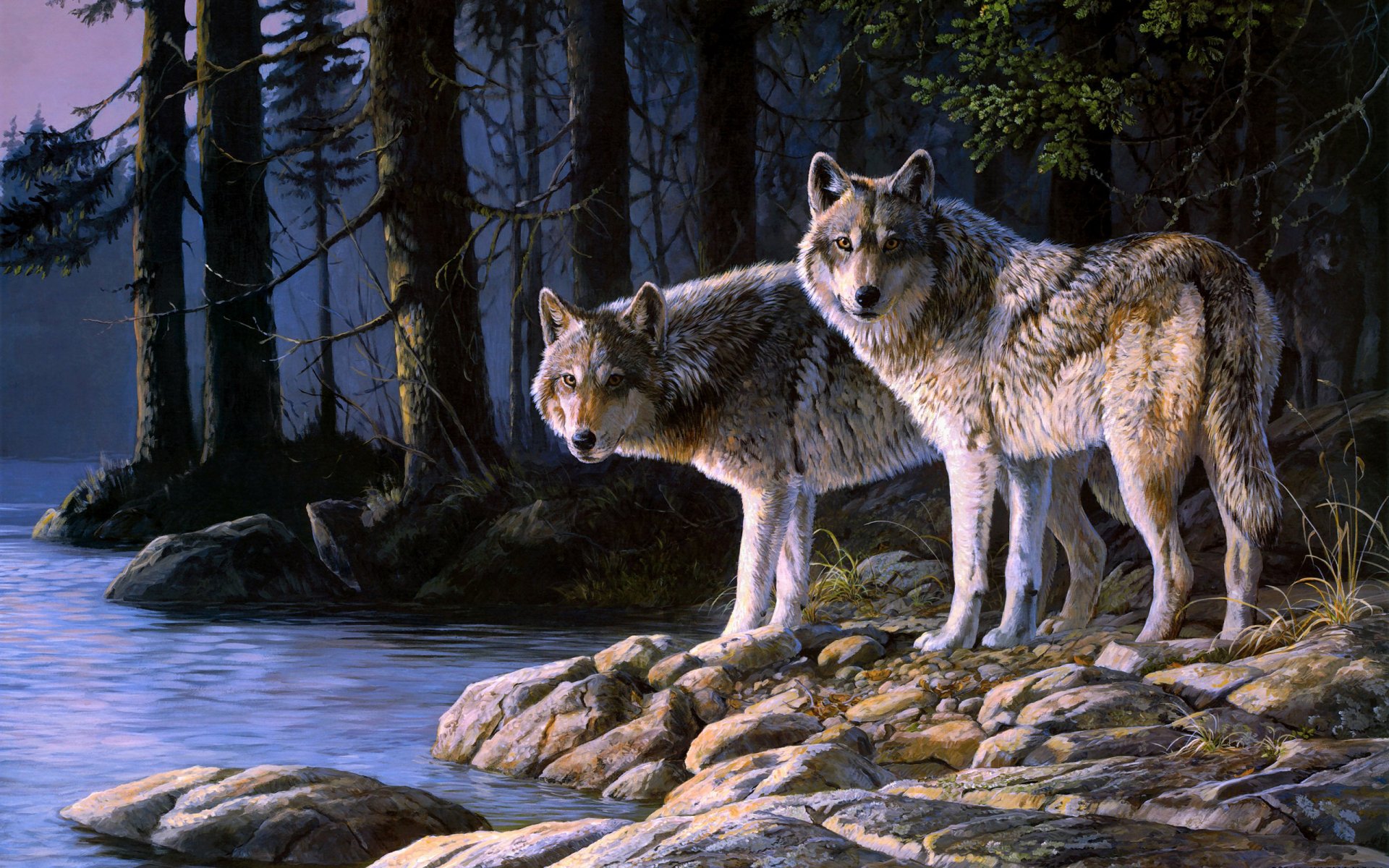 Fond cran Pc Loup 21 Images Gratuites De Fond D cran Hd Animaux 