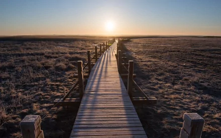 man made boardwalk HD Desktop Wallpaper | Background Image