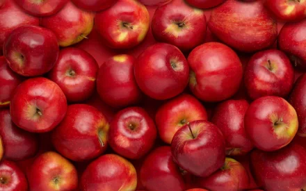 A vibrant collection of red apples arranged closely, creating a rich texture and color, suitable as an HD PC desktop wallpaper or background.