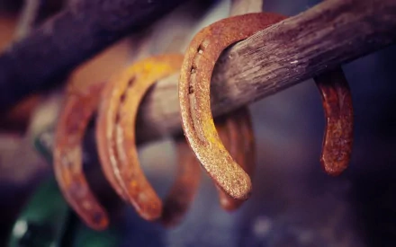 photography horseshoe HD Desktop Wallpaper | Background Image