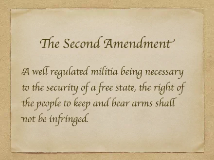 Misc 2nd amendment HD Desktop Wallpaper | Background Image