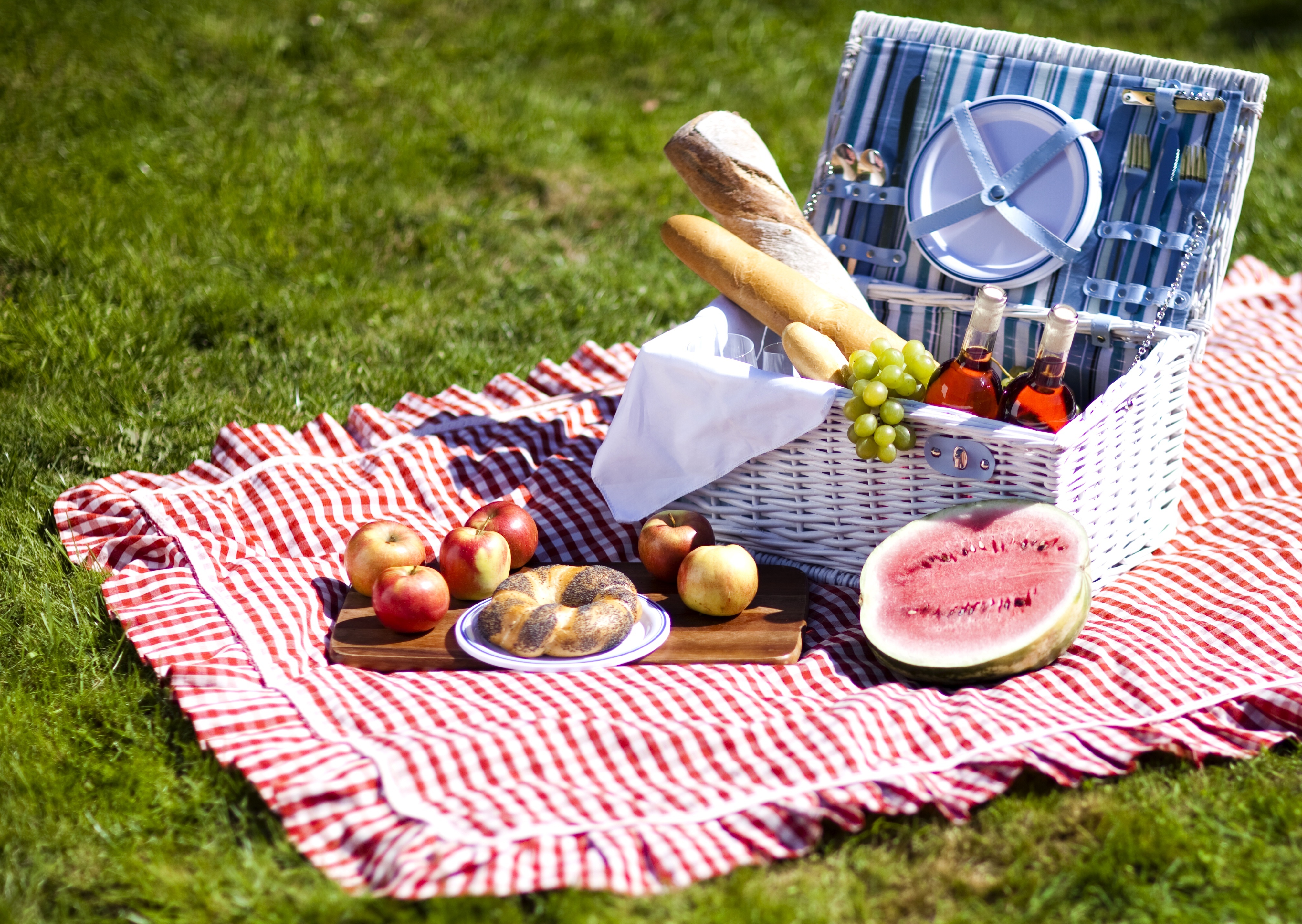 Summer picnic HD wallpapers  Pxfuel