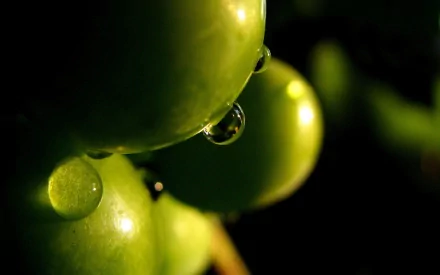 Close-up HD PC desktop wallpaper of fresh green olives with water droplets glistening in soft light against a dark blurred background.