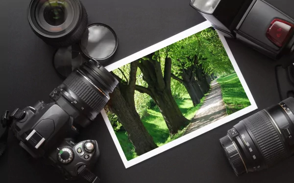 A flat lay of various cameras surrounding a printed photo of a lush tree-lined path, showcasing the beauty of nature through man-made technology. HD desktop wallpaper.
