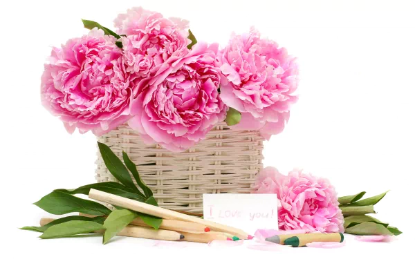 A 4K Ultra HD photograph of vibrant pink flowers in a white wicker basket with green leaves and colored pencils, evoking themes of love and creativity.