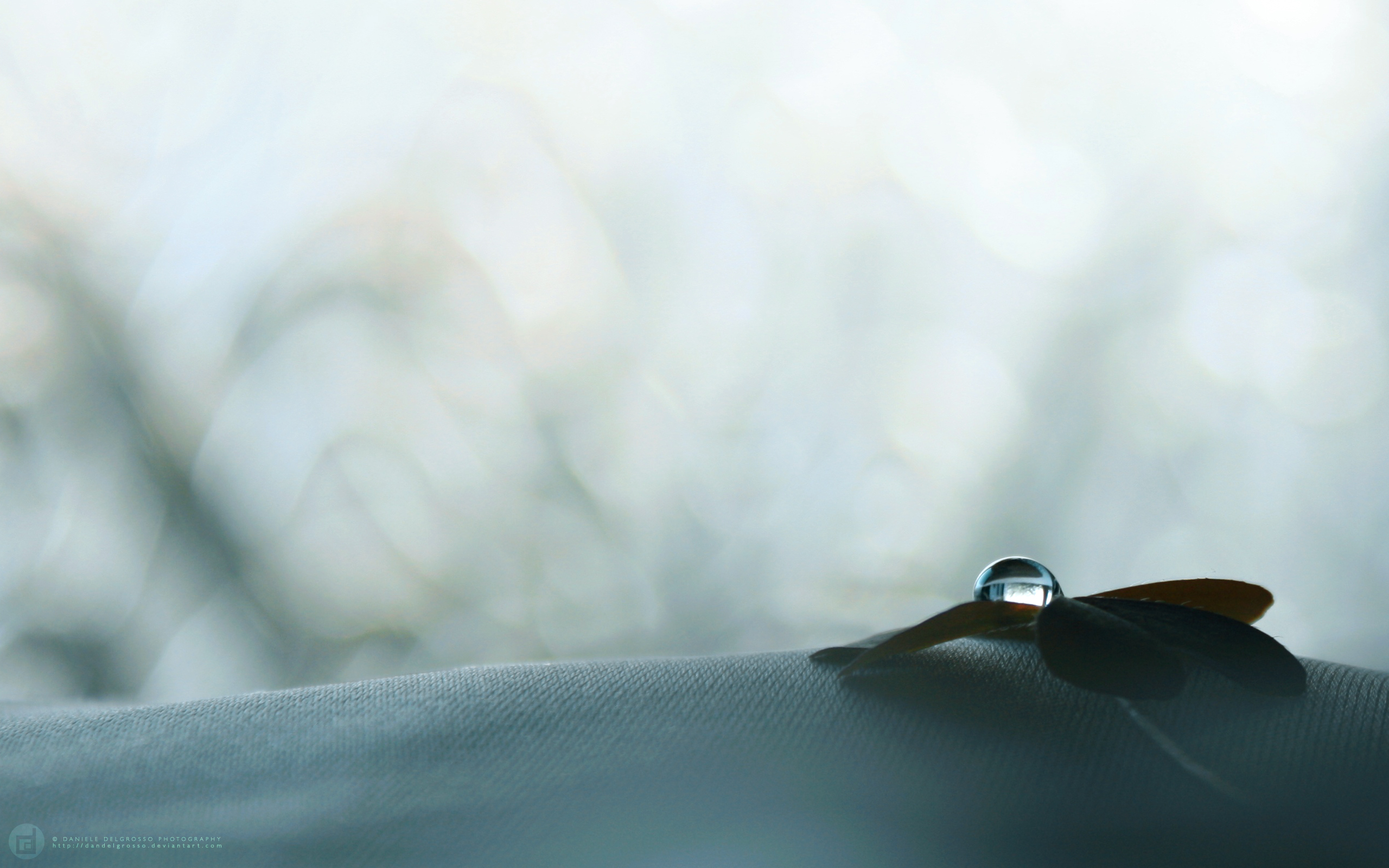 Water Drop HD Wallpaper | Background Image | 2560x1600 | ID:408248