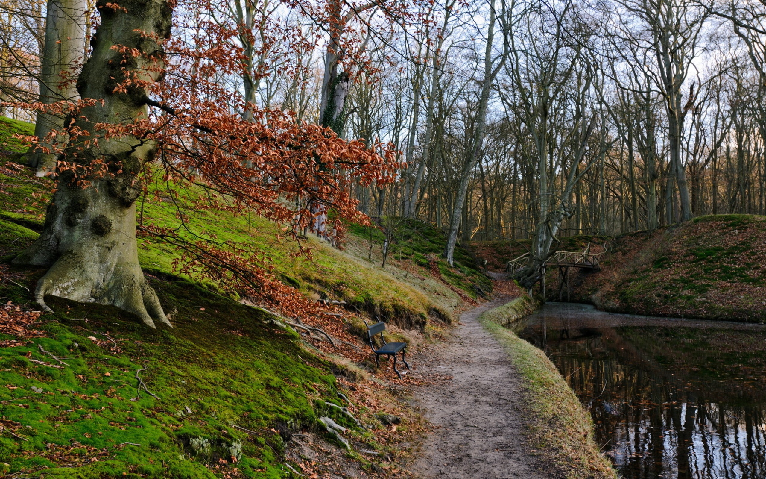 Path HD Wallpaper | Background Image | 2560x1600 | ID:408674