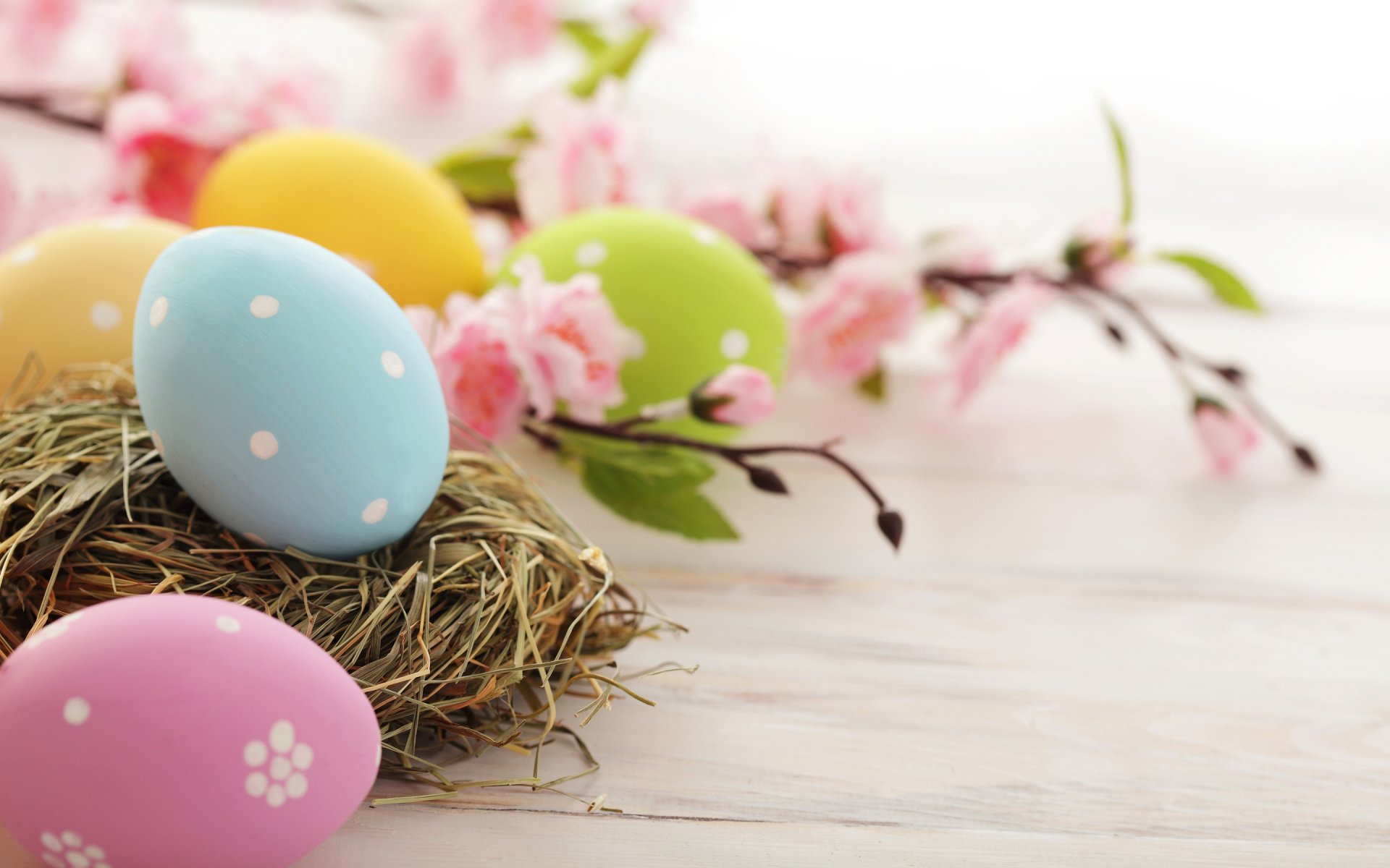 A serene Easter-themed desktop wallpaper featuring pastel-colored eggs nestled in a nest, surrounded by delicate pink flowers against a light wooden background.