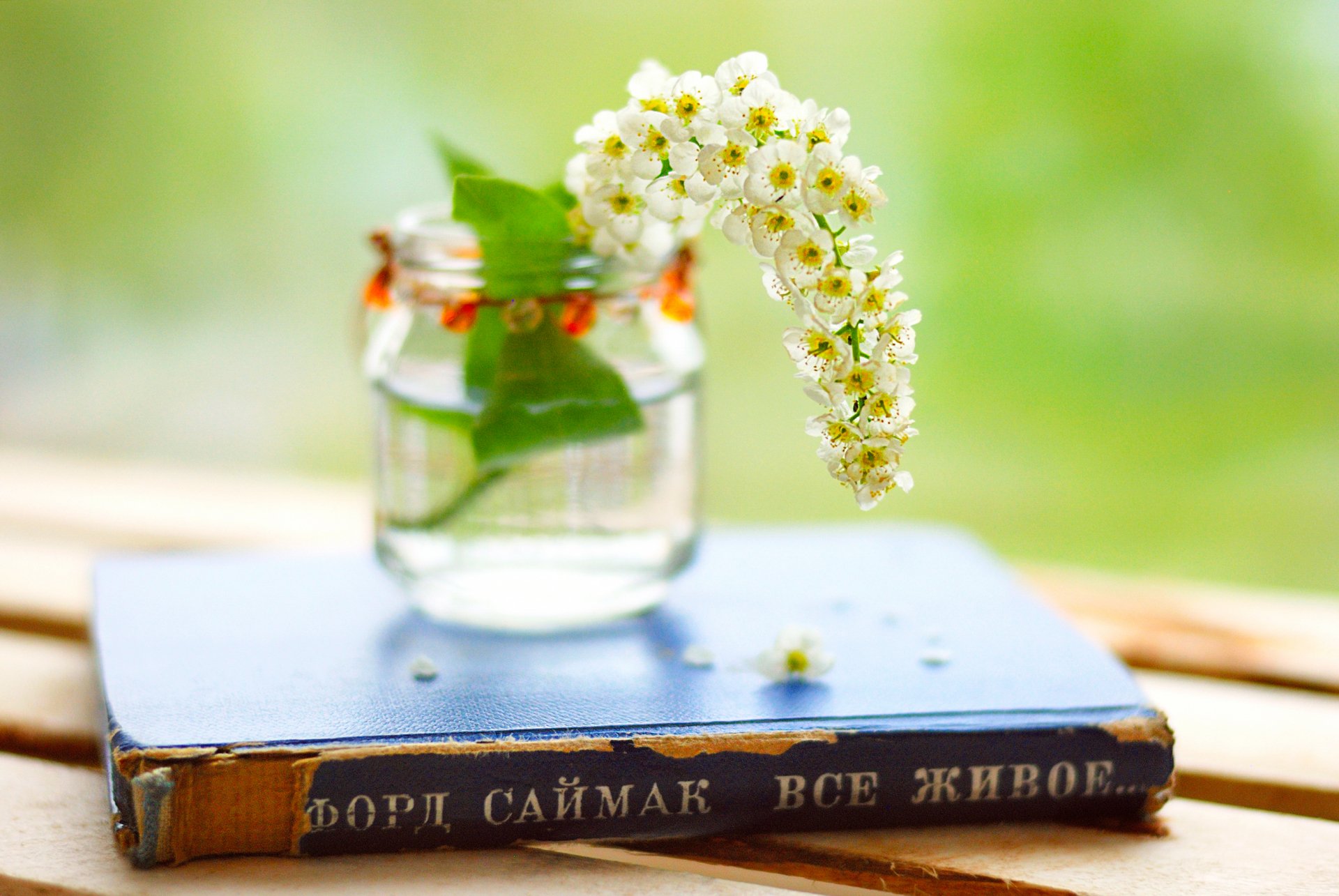 A clear glass jar with white flowers rests on a blue book, creating a serene HD PC desktop wallpaper with a natural green blurred background.