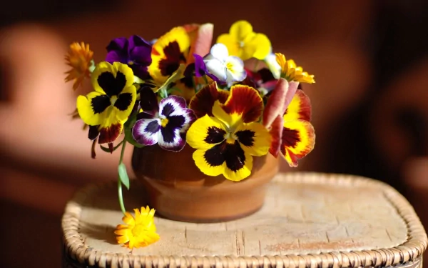 A vibrant HD desktop wallpaper featuring a clay pot filled with colorful pansies and calendula flowers resting on a woven surface, showcasing nature's beauty.
