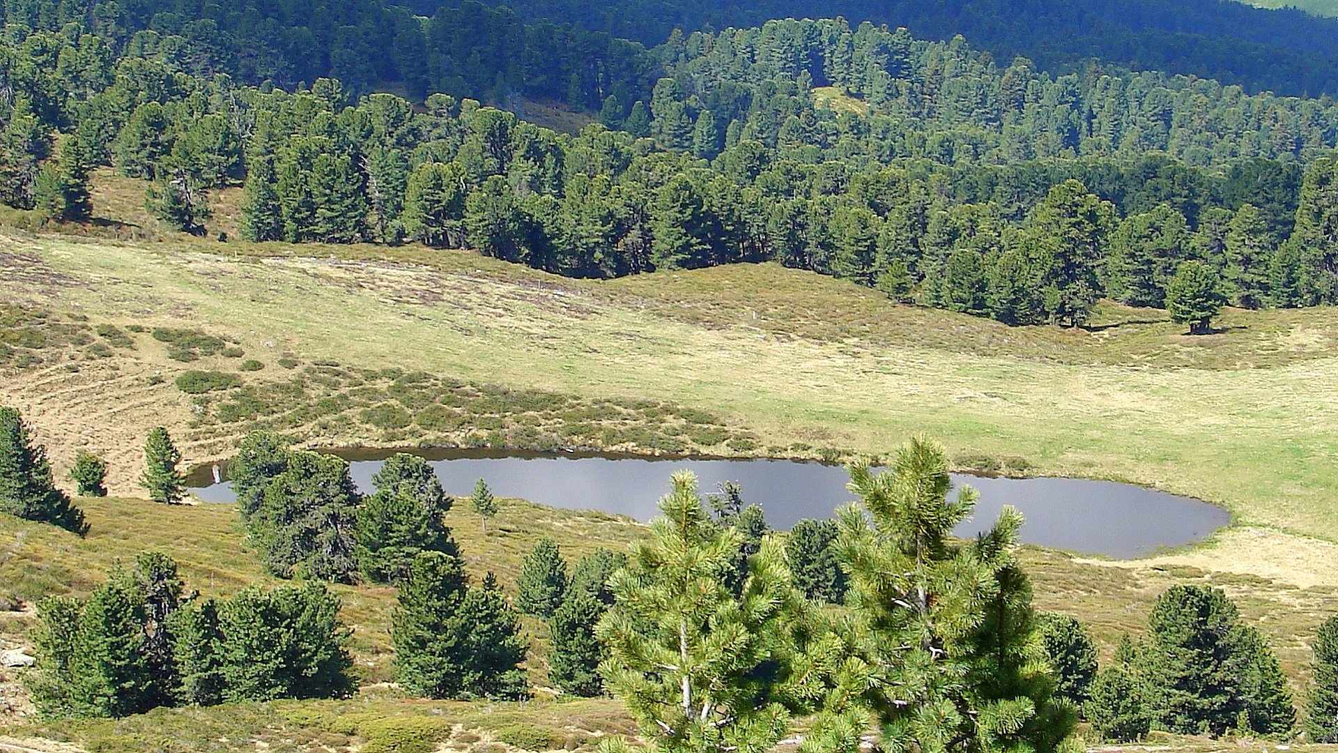 Tiroler Almsee by makateh
