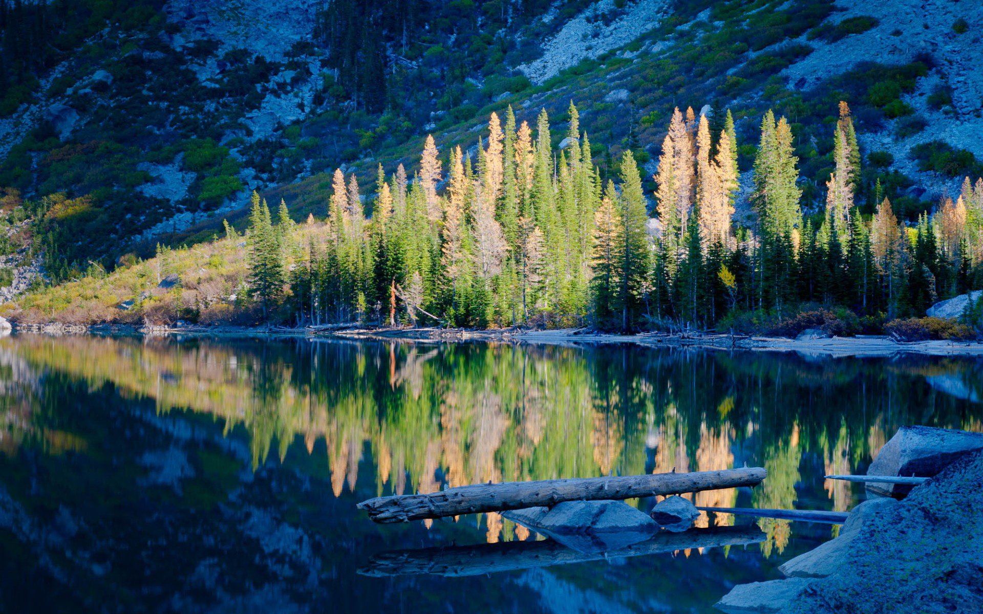 Serene Nature Reflections HD Wallpaper | 1920x1200 | Wallpaper Abyss