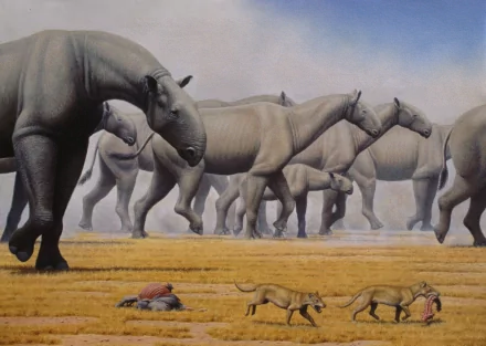  Paraceratherium