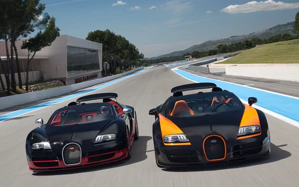 HD desktop wallpaper featuring two Bugatti Veyron cars on a racing track, showcasing their sleek design and high-performance capabilities under a clear sky.