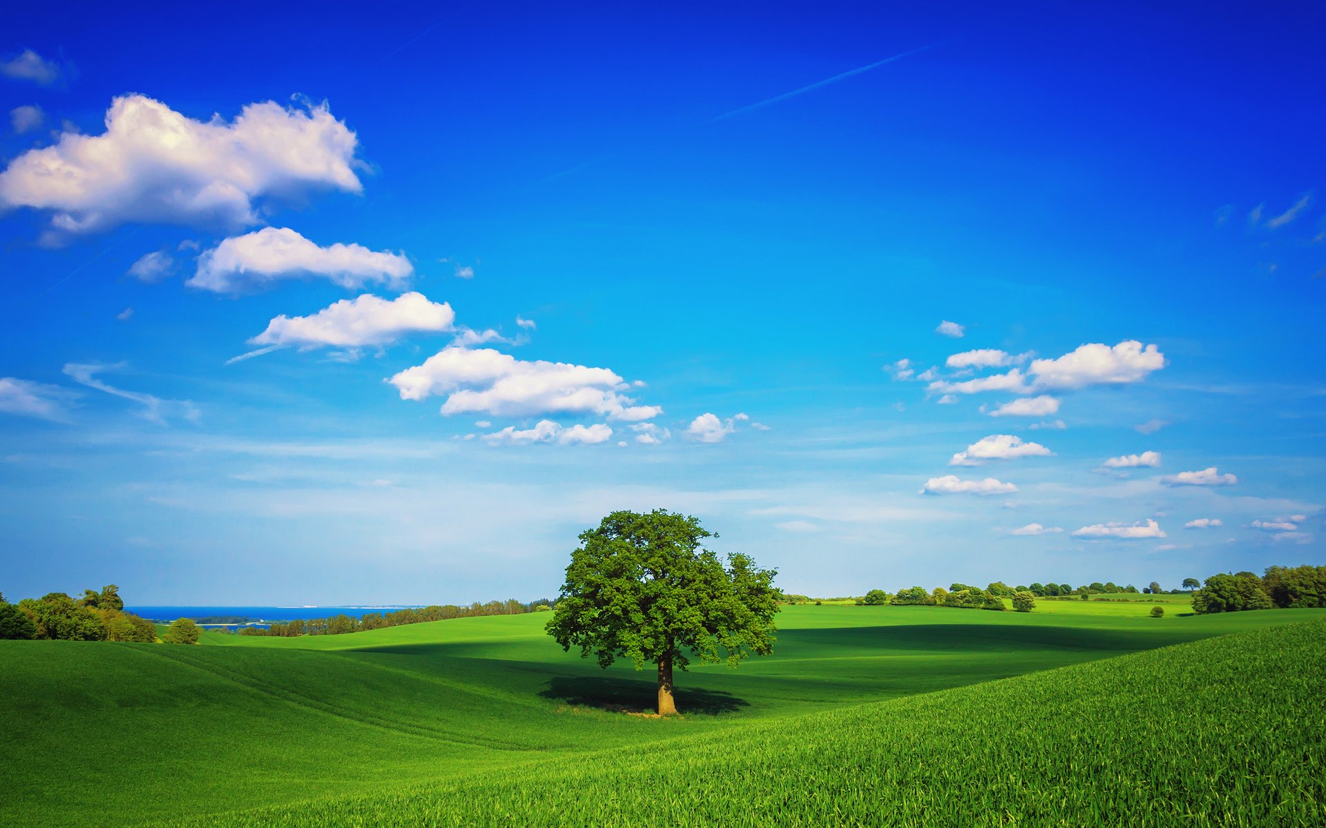 A vibrant landscape featuring a solitary tree on rolling green hills under a clear blue sky with scattered clouds. This high-definition image makes an inviting desktop wallpaper.