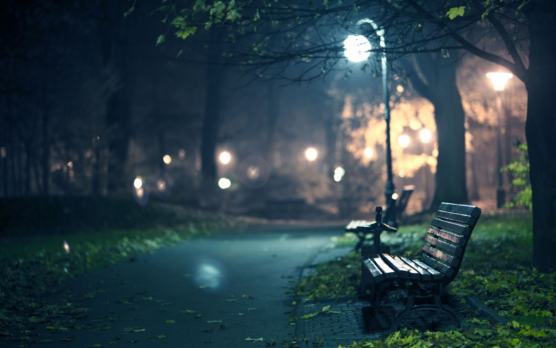 A serene nighttime scene of a park bench illuminated by street lamps, surrounded by soft autumn leaves, creating a peaceful atmosphere for an HD PC desktop wallpaper.