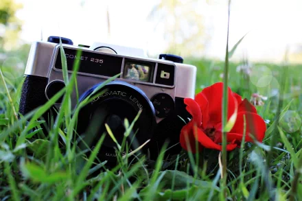 A vintage camera rests on green grass alongside a vibrant red flower, creating a striking contrast. This HD image serves as a captivating desktop wallpaper and background.