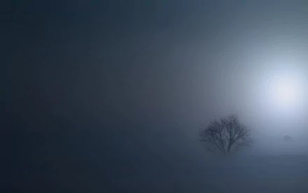 HD PC desktop wallpaper showing a solitary tree shrouded in dense fog against a muted, misty background, capturing a serene and mysterious nature scene.