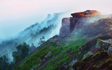 Fog