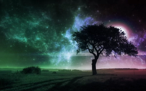 A solitary tree under a vibrant, mystical night sky with swirling green and purple hues, creating a dreamy nature scene in HD for a PC desktop wallpaper.