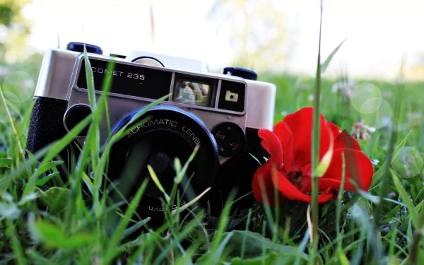 A vintage camera rests on green grass alongside a vibrant red flower, creating a striking contrast. This HD image serves as a captivating desktop wallpaper and background.