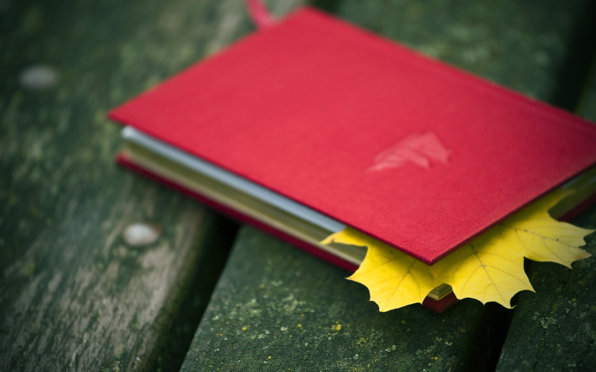 A vibrant red book rests on a weathered wooden surface, partially revealing a yellow leaf tucked inside, creating an inviting and serene desktop wallpaper background.
