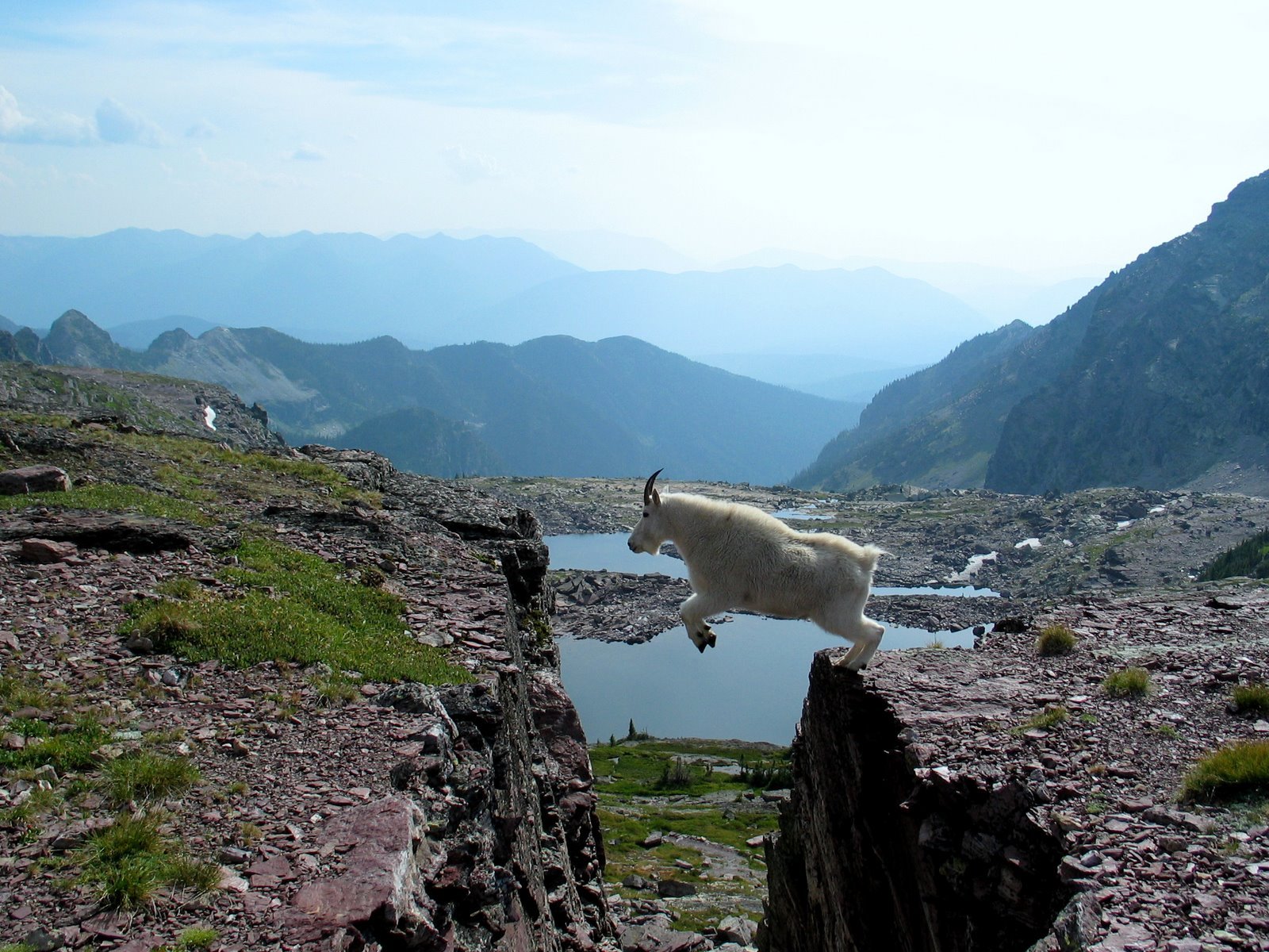 HD PC desktop wallpaper and background featuring an animal — a mountain goat mid-leap across a rocky chasm with alpine peaks and a glacial lake.