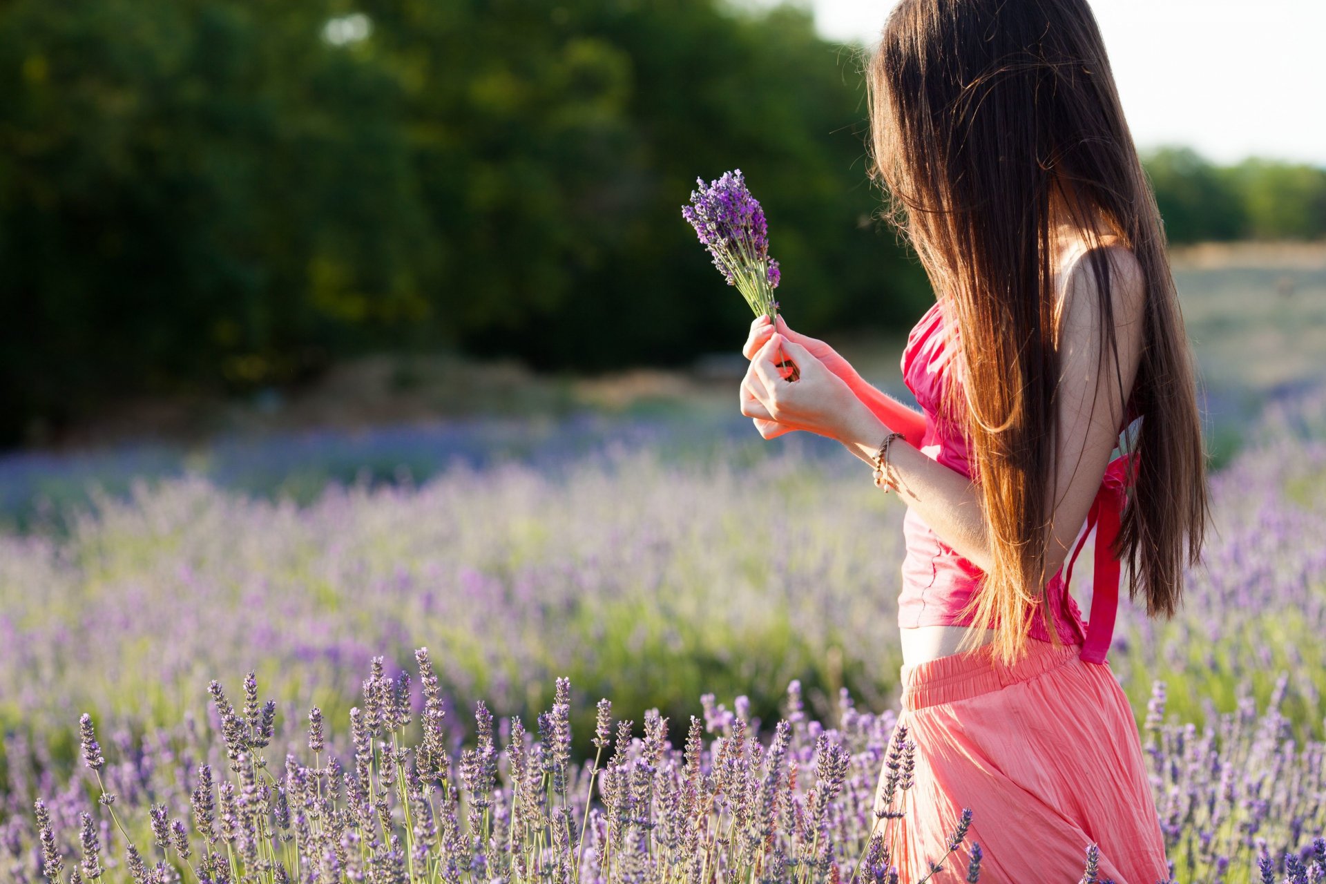 A woman in a pink dress holds a bouquet of lavender while standing in a lavender field. The image is a high-definition desktop wallpaper conveying a serene mood.