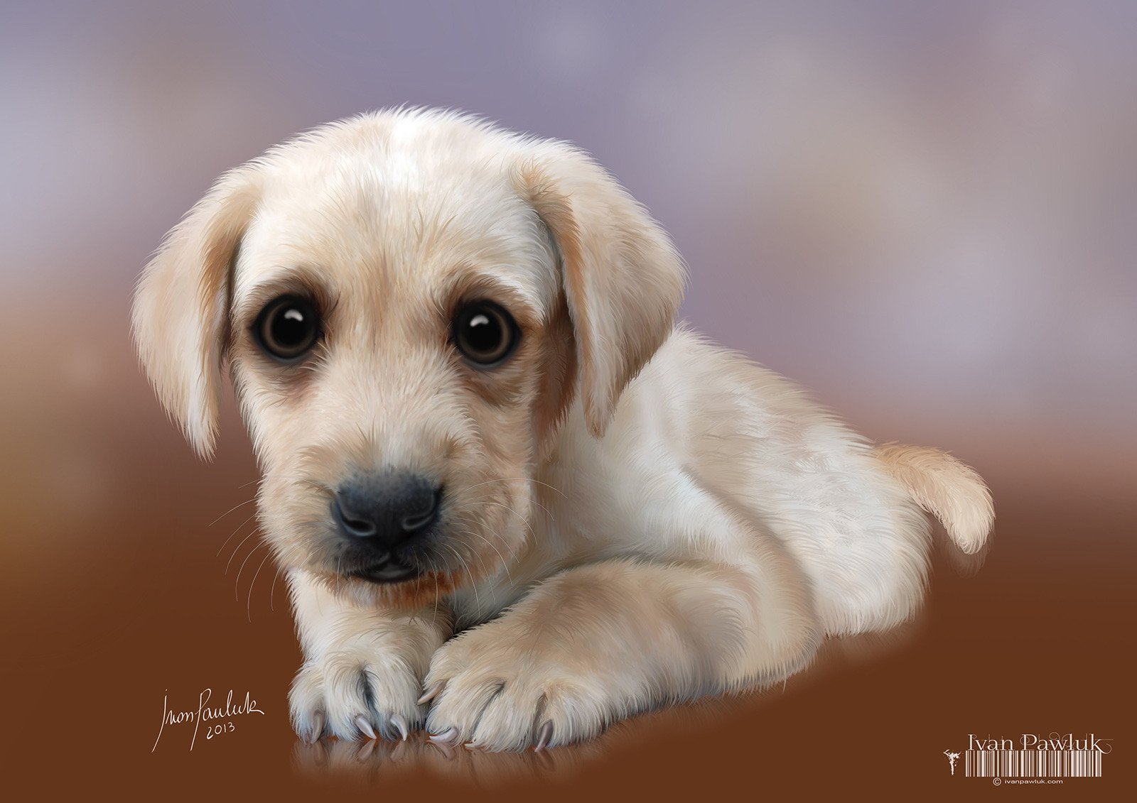 HD PC desktop wallpaper featuring a close-up of an adorable light-colored puppy with big, expressive eyes lying down against a soft, blurred background.