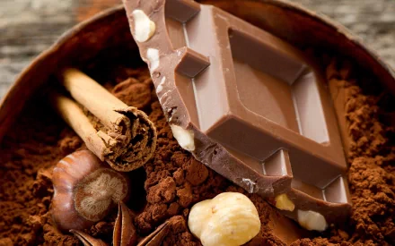 A rich assortment of chocolate, cinnamon sticks, and spices arranged in cocoa powder, creating a warm and inviting food-themed HD desktop wallpaper.