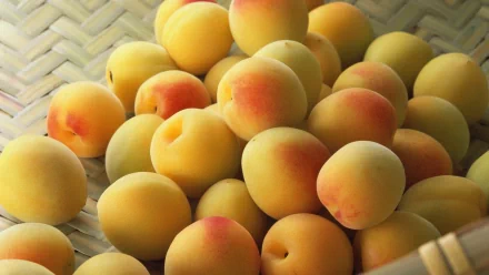 A vibrant HD desktop wallpaper featuring a close-up of fresh, ripe peaches, showcasing their smooth skin and soft, inviting colors against a textured background.