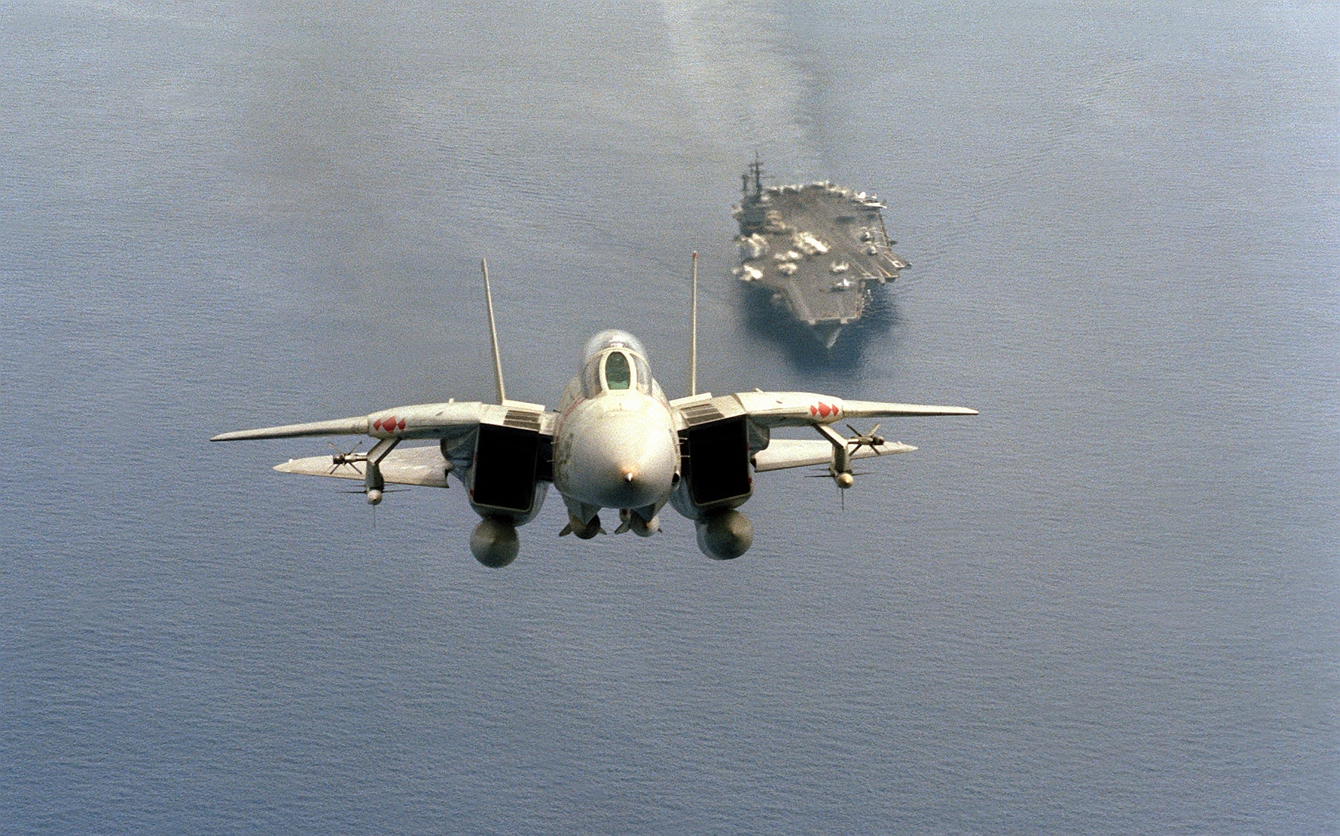 40+ Grumman F-14 Tomcat HD Wallpapers and Backgrounds