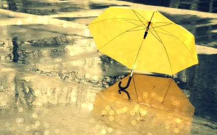 A vibrant yellow umbrella stands out against a reflective, wet surface, surrounded by soft bokeh lights, creating a captivating HD desktop wallpaper and background.